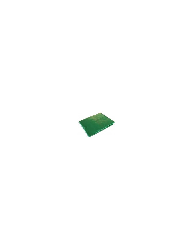 Bâche de Protection Armée Ultime 2x3m - Polyéthylène Renforcé 240g/m²